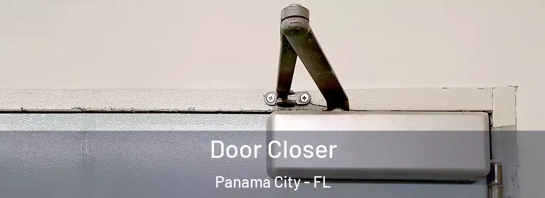 Door Closer Panama City - FL