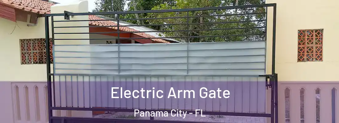 Electric Arm Gate Panama City - FL
