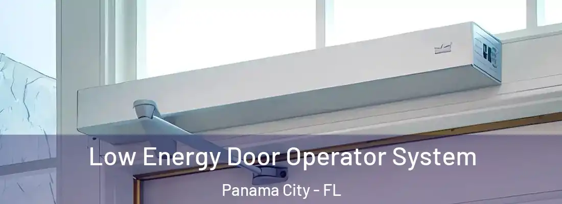 Low Energy Door Operator System Panama City - FL